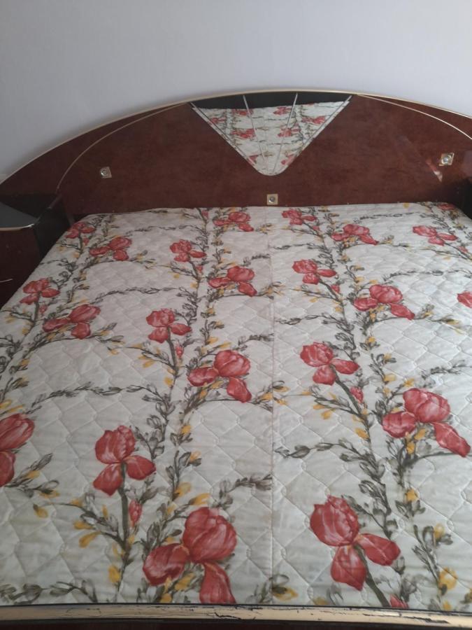 Casa Valea Morilor Guest House Eftimie Murgu Екстериор снимка