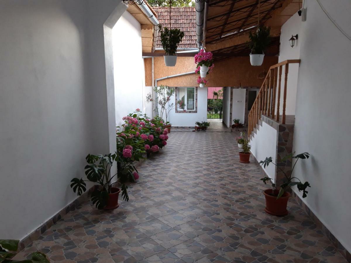 Casa Valea Morilor Guest House Eftimie Murgu Екстериор снимка